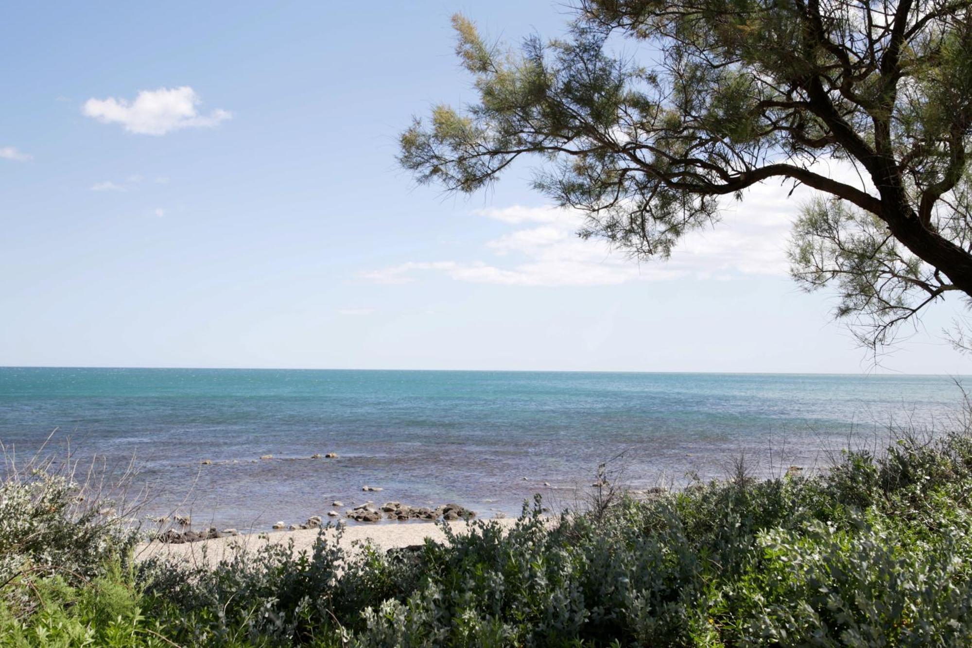 Centre Port,Vue Panoramique,Clim,Balcon,Wifi Διαμέρισμα Agde Εξωτερικό φωτογραφία
